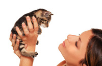 Toxoplasmosetest